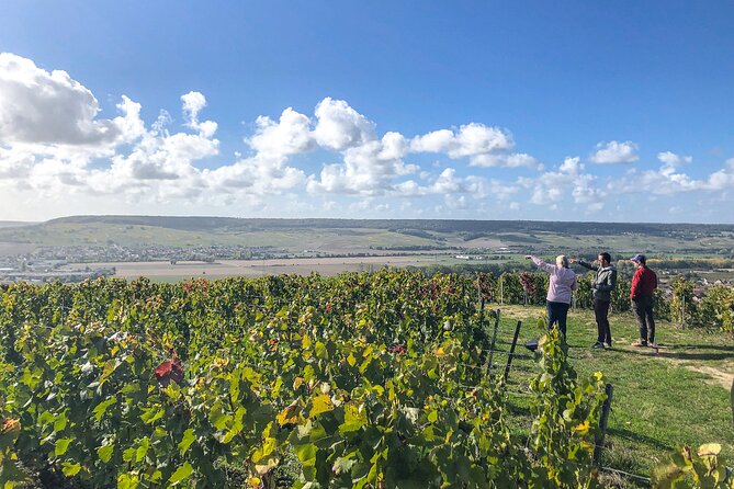 Champagne Private VIP Wine Day Trip With Michelin Lunch - Common Questions