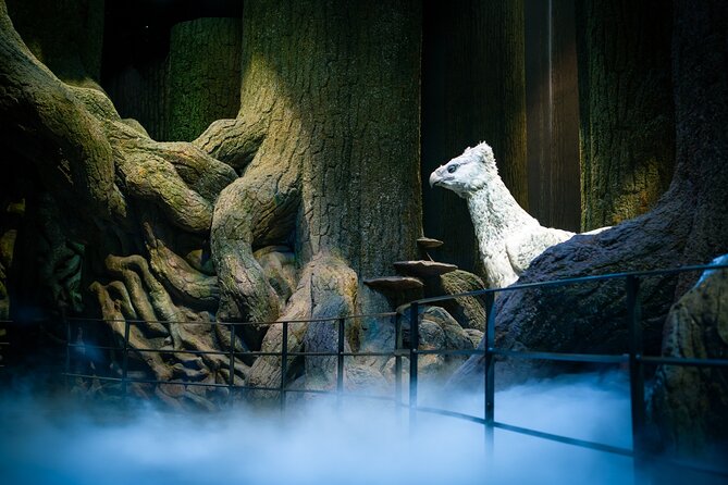 Champagne Reception and Late Night Warner Bros Studio Tour - Cancellation Policy and Guidelines
