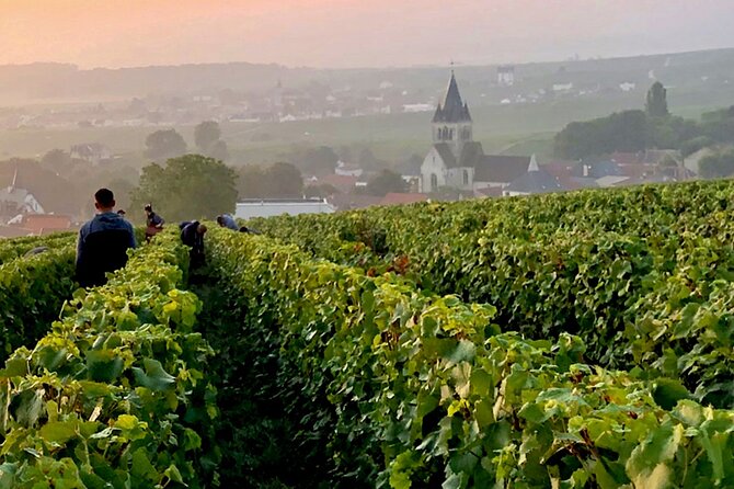 Champagne Region Small-Group Full-Day Tasting Tour From Paris - Tour Overview