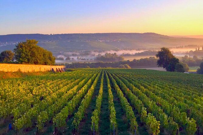 Champagne Region Small-Group Full-Day Tasting Tour From Paris - Transportation