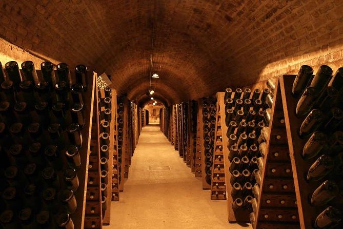 Champagne & Reims Tasting Day Trip From Paris - What To Expect