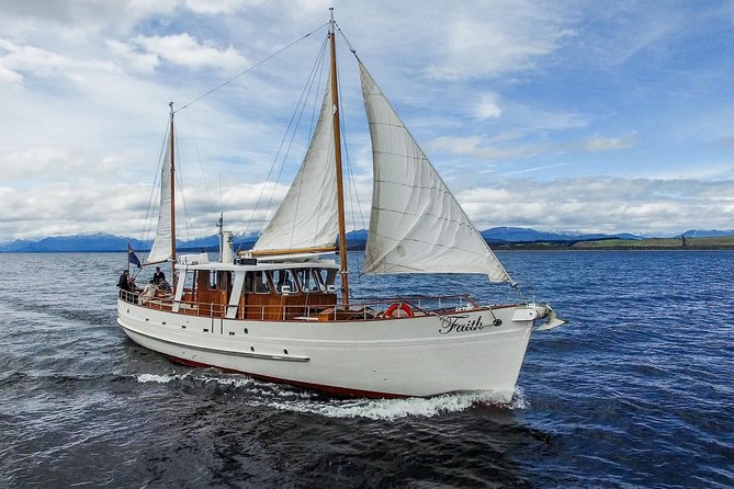Champagne Sightseeing Cruise on Lake Te Anau - Traveler Photos and Reviews