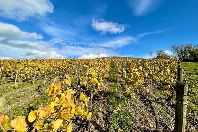 Champagne Small-Group Tour With Tastings and Lunch From Epernay - Tour Highlights