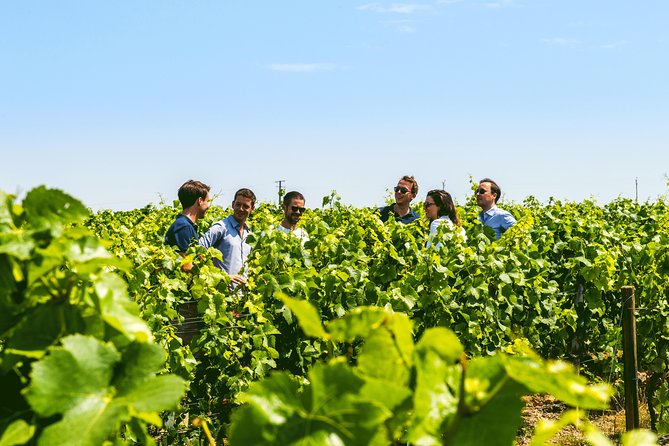 Champagne Small-Group Tour With Tastings and Lunch From Epernay - Directions
