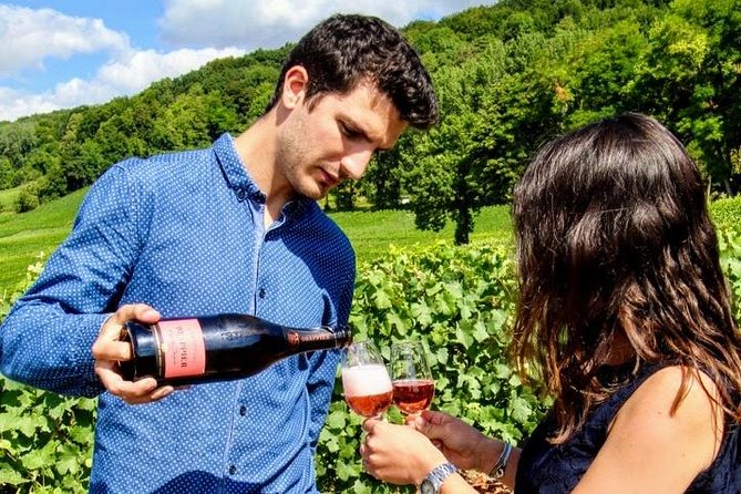 Champagne Small Group Wine Day Trip With Wine Tastings & Lunch - Knowledgeable Guides