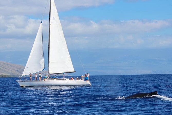 Champagne Sunset Sail From Lahaina Harbor - Common Questions