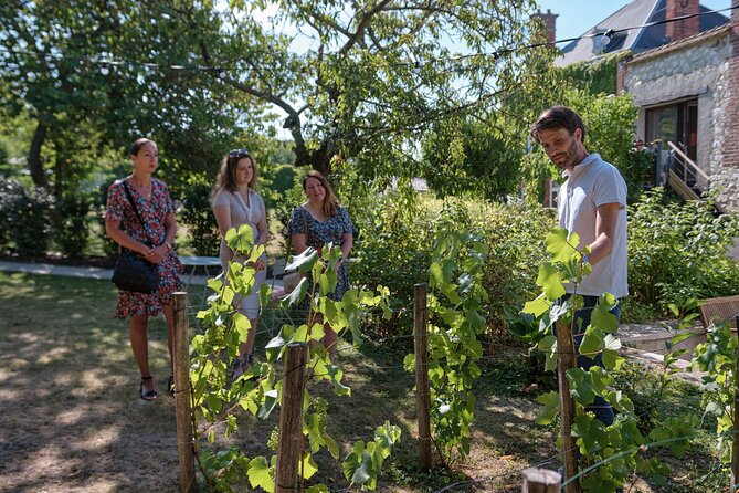 Champagne Tasting and Tour at a Montagne De Reims Winery  - Ay - Champagne Tasting Experience Details
