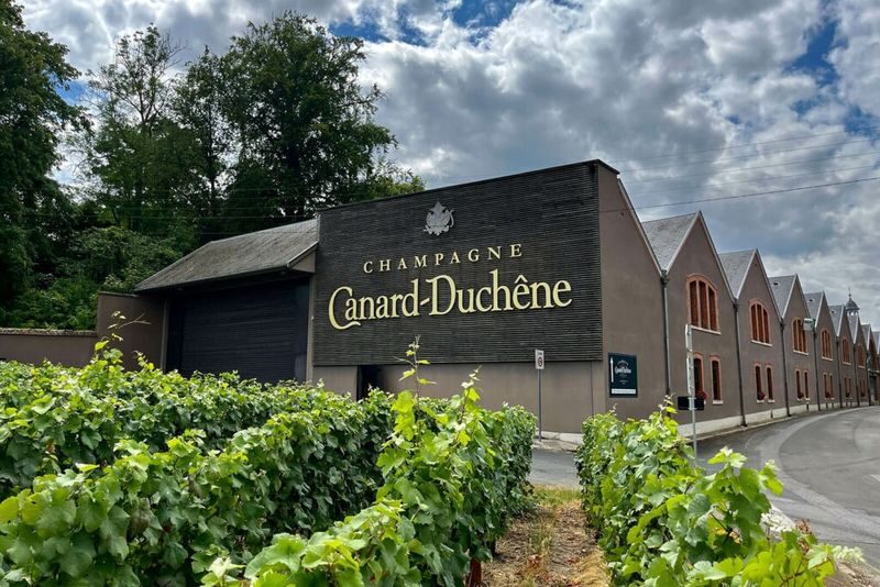 Champagne Tasting Tour in Champagne and Reims from Paris - A three-course lunch that gives the day a pause