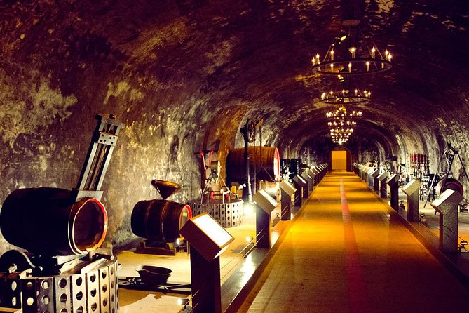 Champagne Tour From Paris by Minivan With Reims Cellars & Champagne Tasting - What to Expect