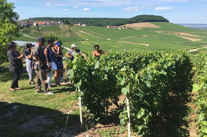 Champagne Tour From Reims: Veuve Cliquot, Winery Visit, Lunch  - Cancel 24H Prior & Full Refund - Overall Rating and Reviews