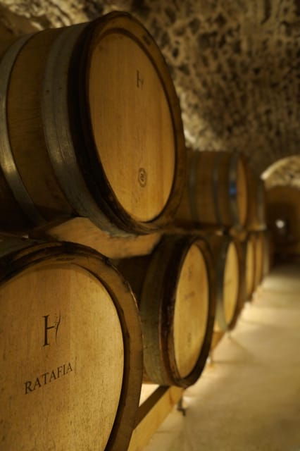 Champagne Vineyard Experience: Delve Into the Terroir - Sustainable Practices