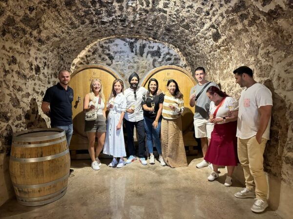 Champagne Vineyard Experience: Delve Into the Terroir - Booking and Availability
