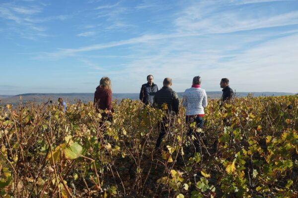 Champagne Vineyard Experience: Delve Into the Terroir - Questions You May Have