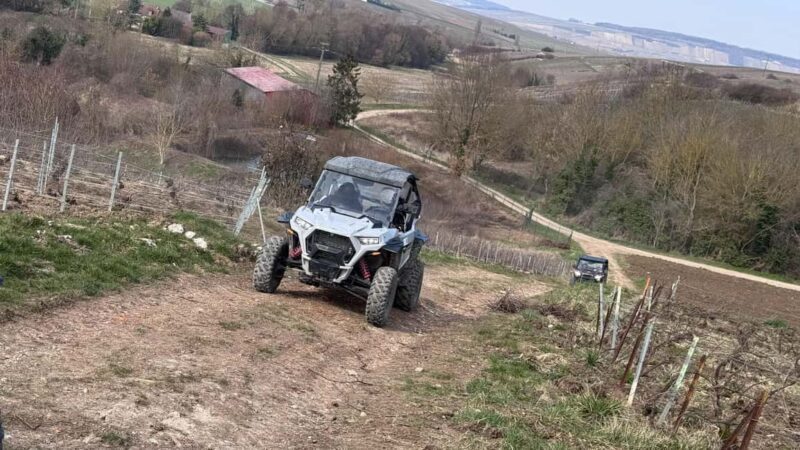 Champagne vineyards: 2-hour guided tour of the vineyards in a Buggy - Good To Know