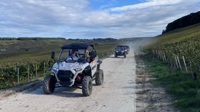 Champagne vineyards: 2-hour guided tour of the vineyards in a Buggy - Who Should Consider This Tour?