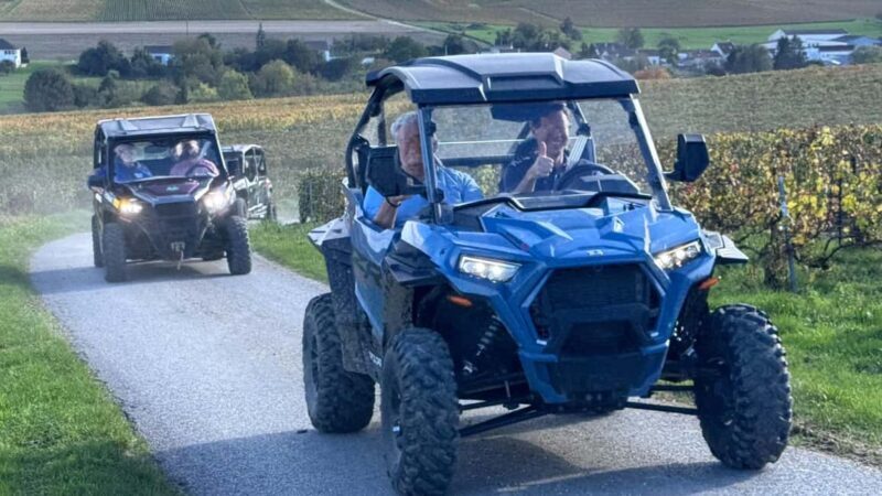 Champagne vineyards: 2-hour guided tour of the vineyards in a Buggy - Practical Details and Tips