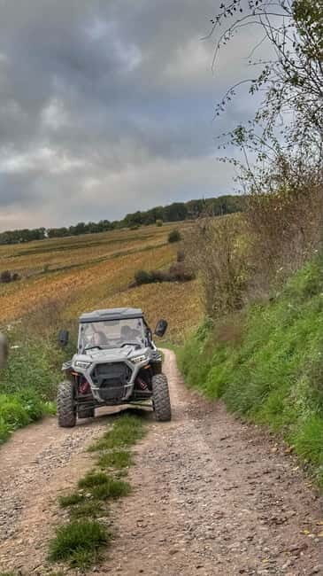 Champagne vineyards: 2-hour guided tour of the vineyards in a Buggy - Final Verdict