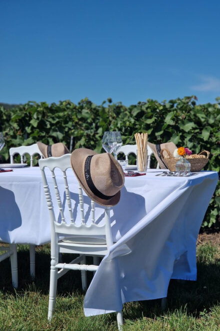 Champagne Vineyards Picnic - Booking Process