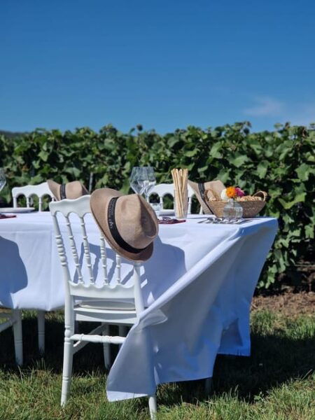 Champagne Vineyards Picnic - Tips for Your Visit
