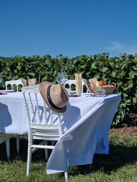 Champagne Vineyards Picnic (With Transportation) - Highlights of the Picnic
