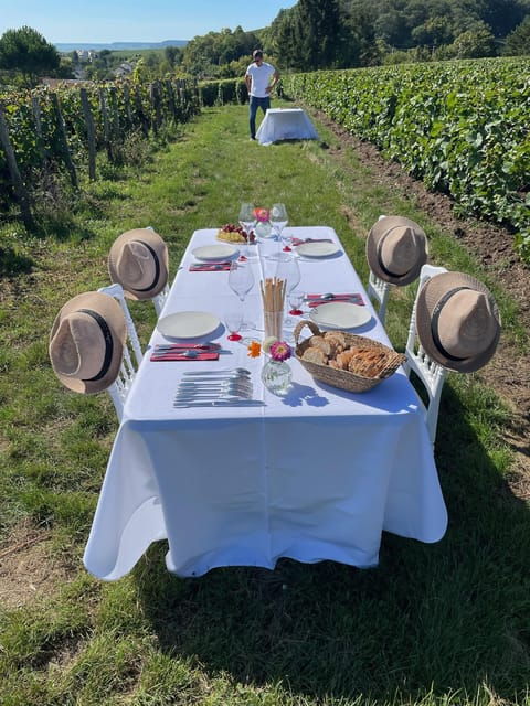 Champagne Vineyards Picnic (With Transportation) - Private Group Options