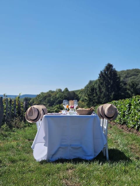 Champagne Vineyards Picnic (With Transportation) - Tips for a Perfect Picnic