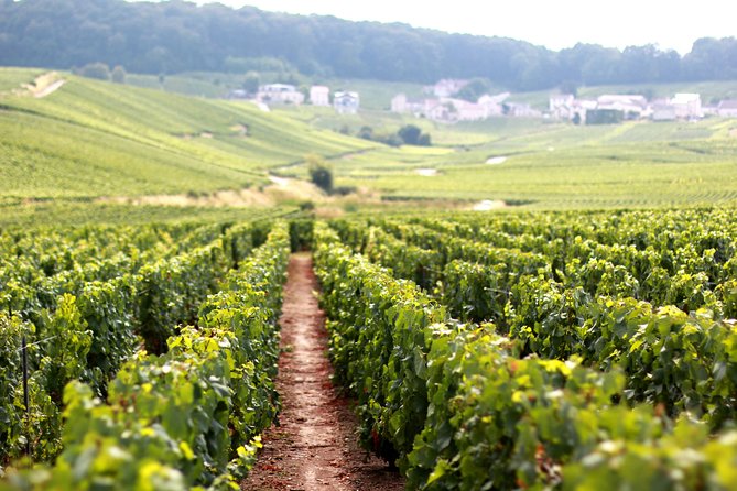 Champagne VIP Day Trip From Paris With Local PRIVATE Wine Expert Guide - Highlights of the Champagne Region Tour