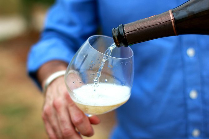 Champagne VIP Day Trip From Paris With Local PRIVATE Wine Expert Guide - Cancellation Policy and Traveler Reviews