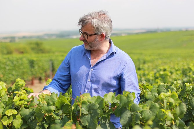 Champagne VIP Day Trip From Paris With Local PRIVATE Wine Expert Guide - Tour Highlights and Champagne Production