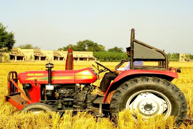 Chandigarh & Anandpur Saheb in 3 Days From Delhi - The Sum Up