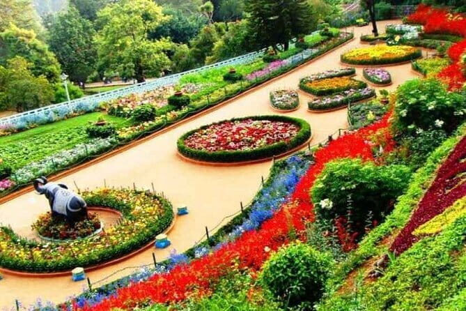 Chandigarh Private Full Day Tour - Why This Tour Offers Good Value