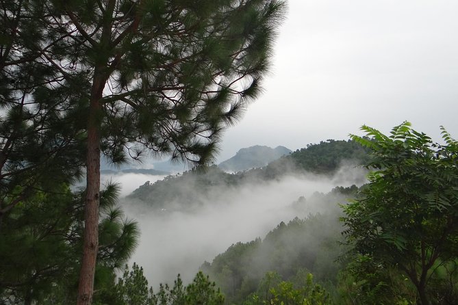 Chandigarh to Shimla Hill Station 4-Days Private Tour - Day 4: Shimla Departure