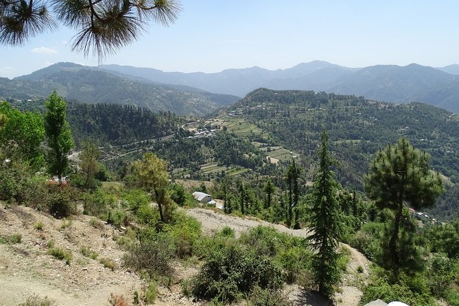 Chandigarh to Shimla Hill Station 4-Days Private Tour - Accommodation Details