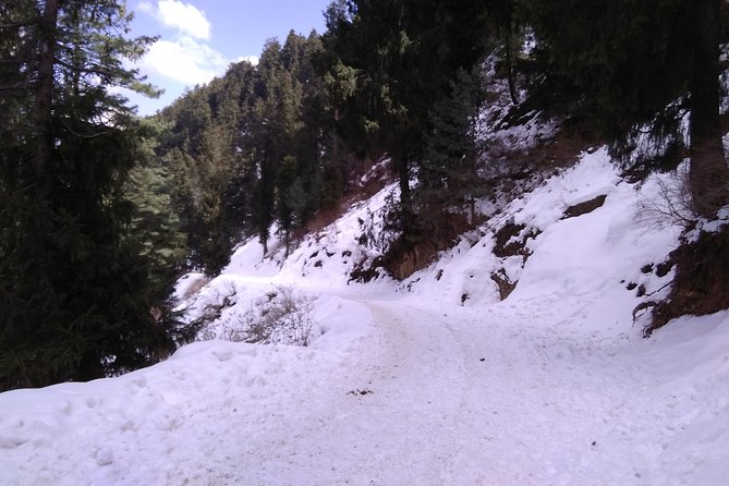 Chandigarh to Shimla Hill Station 4-Days Private Tour - Frequently Asked Questions
