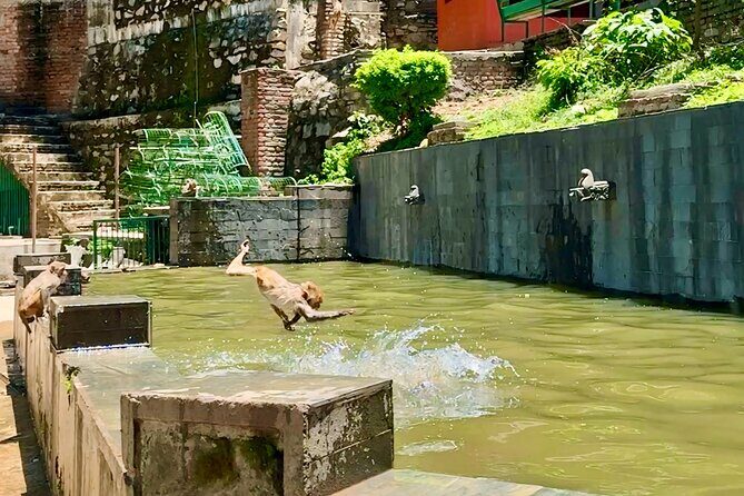 Chandragiri Cable Car Ride & Monkey Temple Tour - Private/Group - Final Thoughts