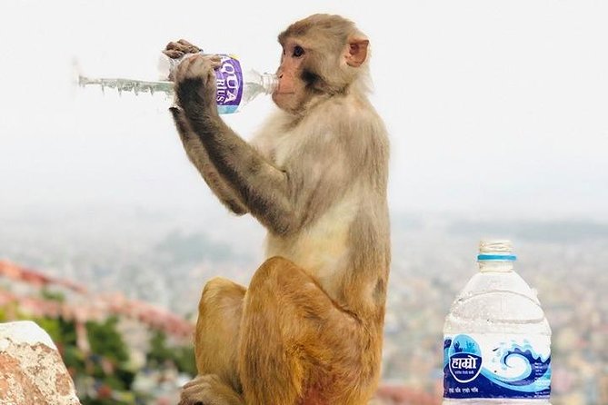 Chandragiri Hill and Monkey Temple (Swayambhunath), 6 Hours Tour - Historical Significance of Chandragiri Hill