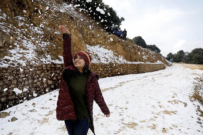 Chandragiri Hills Private Day Tour - Private Tour Details