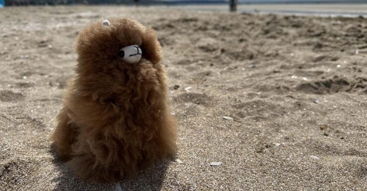 Chanel Deauville Day Tour From Paris With Oyster Tasting - Key Points