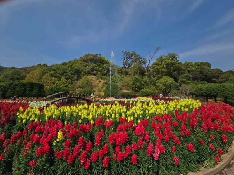 Chang Mai: Doi Inthanon Day Tour w/Waterfalls & Hilltribes - Who Will Love This Tour?