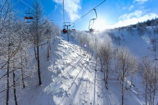 Changchun Private Arrival Transfer: Airport to Hotel - How the Service Works