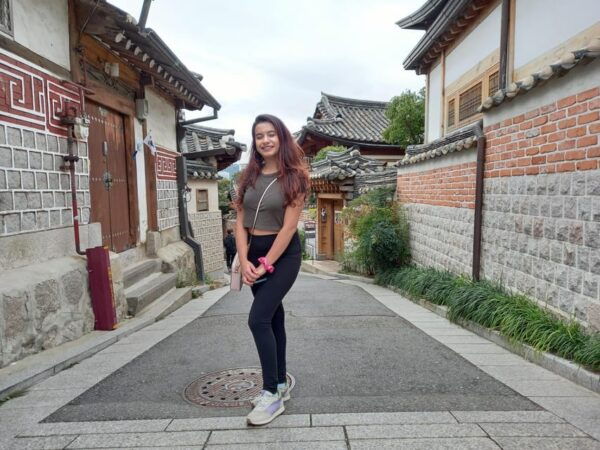Changdeokgung-Bukchon-Gwangjang Market-N Seoul Tower–Hongdae - Transportation Details