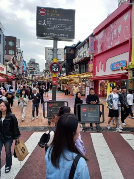 Changdeokgung-Bukchon-Gwangjang Market-N Seoul Tower–Hongdae - Tips for Visitors