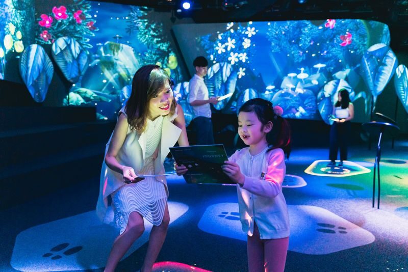 Changi Experience Studio Ticket in Singapore - Is the ticket worth the price?