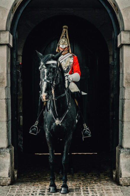 Changing of the Guard Experience in London - Customer Reviews and Ratings