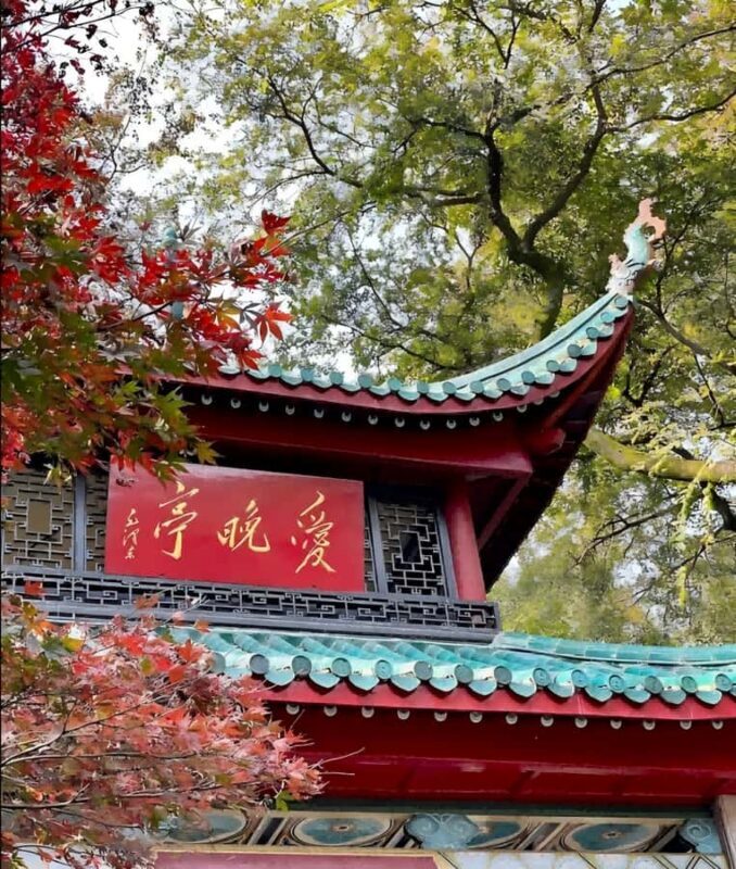 Changsha: Orange Island, Yuelu Mountain & Museum Tour - Who This Tour Is Best For