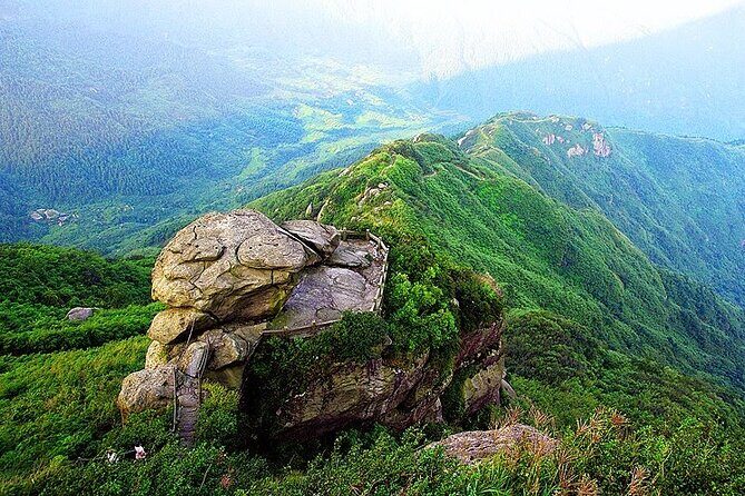 Changsha Private Day Trip: Nanyue Mount Hengshan & Temples - Who Is This Tour Best For?