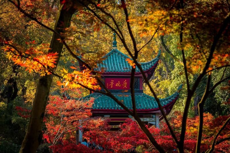 Changsha Yuelu Mountain & Orange Isle Full-Day History Tour - Yuelu Mountain and Orange Isle: what is known