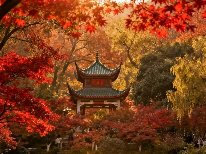Changsha Yuelu Mountain & Orange Isle Full-Day History Tour - Is $32.85 good value?