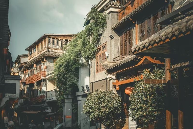 Changsha Yuelu Mountain & Orange Isle Full-Day History Tour - Who will get the most from this tour?