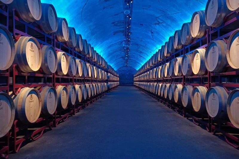 Changyu Wine Culture Museum - Planning your visit at No. 56 Damalu
